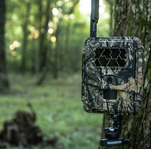 How Trail Cameras Work for Deer Managers