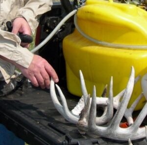 6 Hot Spots For Finding Shed Antlers