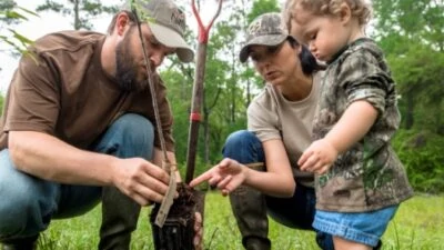 Why Trees Can Make You Happier