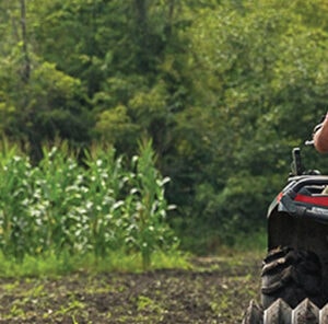 Food Plot Seed Planting Tips & Facts