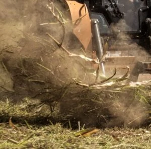 5 Steps To Creating  A New Food Plot