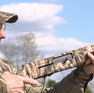 Tips for Hunting Doves : Why People Miss