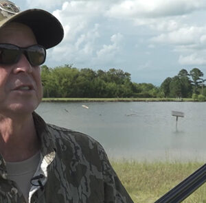 Dove Hunting Tips : The Importance of Movement