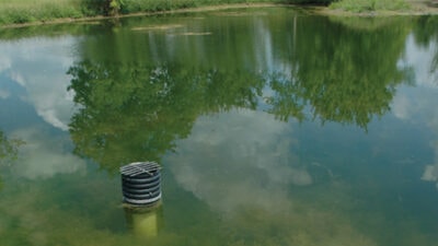 Fertilizing farm ponds: what you need to know