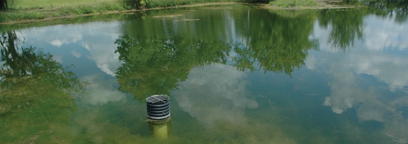Fish Pond Fertilization Explained