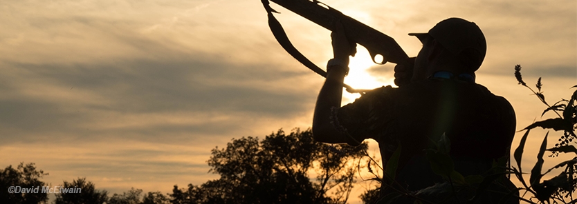 dove-hunting-safety-tips