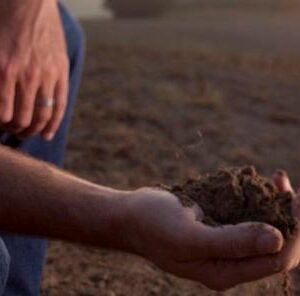 Understanding Soils: Grow Better Food Plots