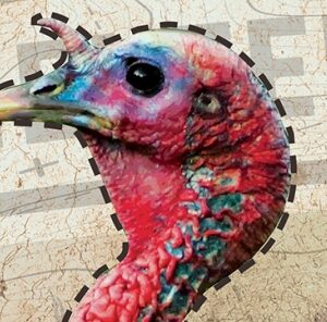 Patterning Your Turkey Gun