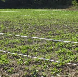 Using a Plot Protector To Control Access to Fall Food Plots