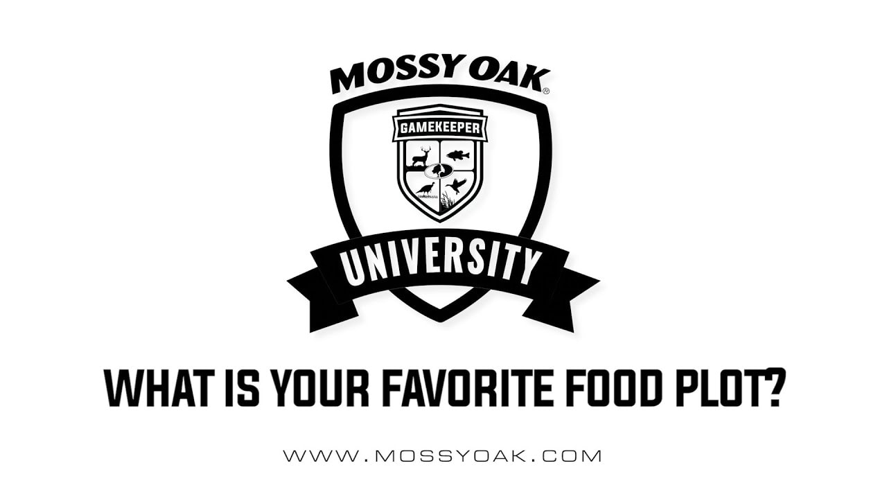 what-s-your-favorite-food-plot-mossy-oak-gamekeeper