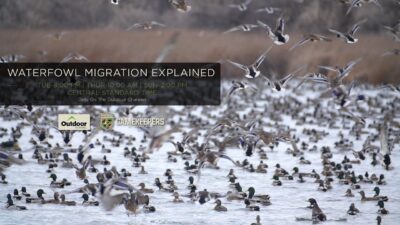 The GameKeepers of Mossy Oak TV: Waterfowl Migration Explained Trailer