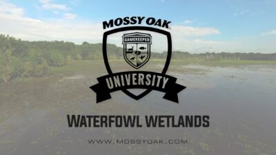Waterfowl Wetlands