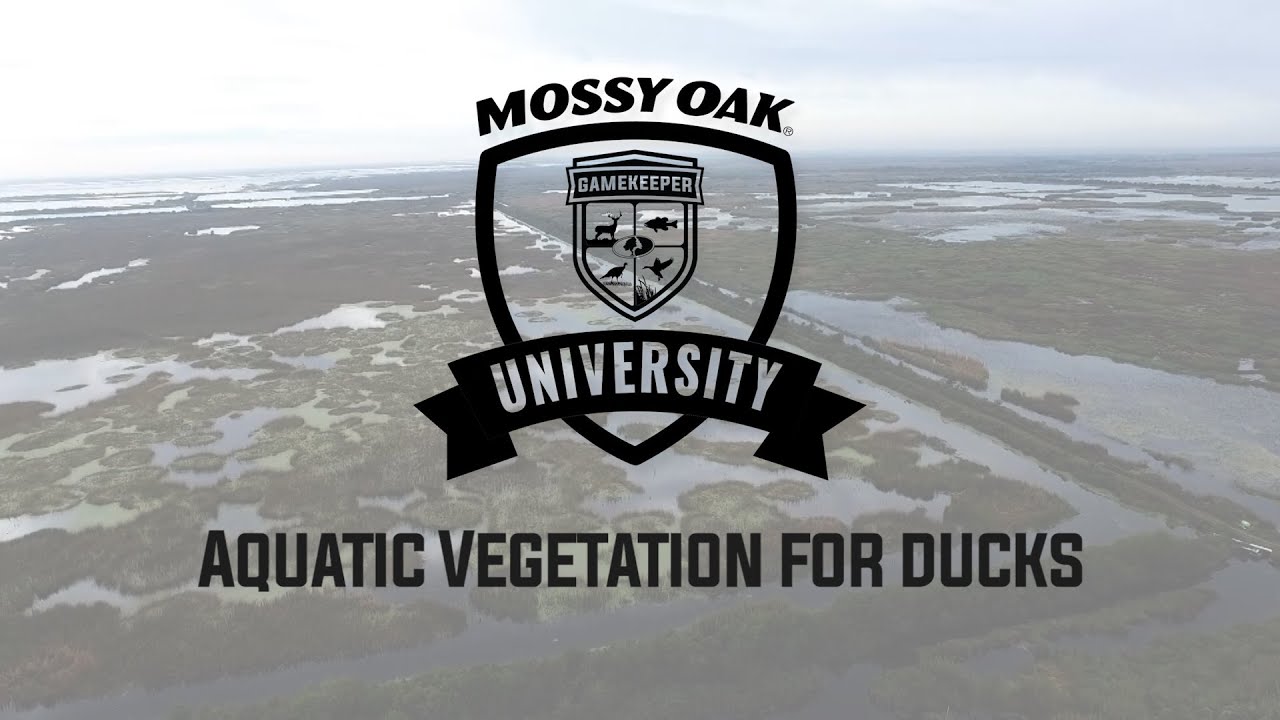 Aquatic Vegetation for Ducks Mossy Oak Gamekeeper