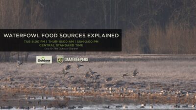 The GameKeepers of Mossy Oak TV: Waterfowl Food Sources Explained Trailer