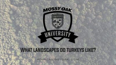 What Landscapes Do Turkeys Like?