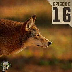 EP:16 | Predator Management Practices and Red Wolves with Dr. Mike Chamberlain
