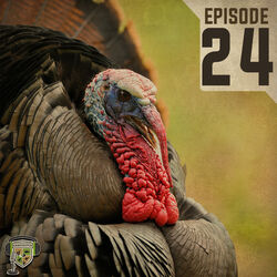 EP:24 | The Challenges of the Amazing Wild Turkey with Dr. Michael Chamberlain