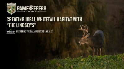 Creating Ideal Whitetail Habitat with The Lindsey’s