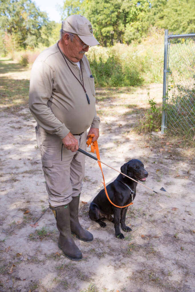 Gundog Training The Heeling Stick Mossy Oak Gamekeeper