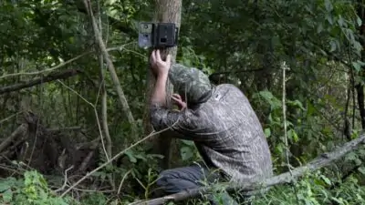 mossy oak trail camera