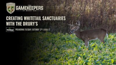 Creating Whitetail Sanctuaries with the Drury’s