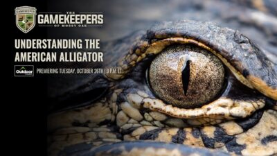 Understanding The American Alligator | The GameKeepers of Mossy Oak