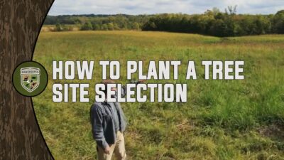 How to Plant a Tree- Site Selection