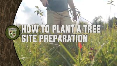 How to Plant a Tree- Site Preparation