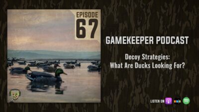 EP:67 | Decoy Strategies: What Are Ducks Looking For?