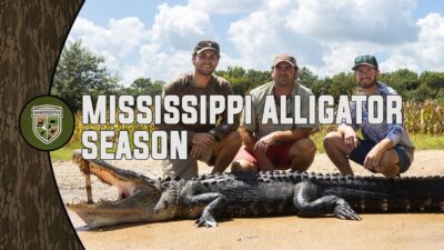 Mississippi Alligator Season