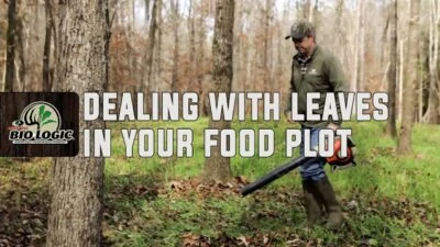 Dealing with Leaves in your Food Plot