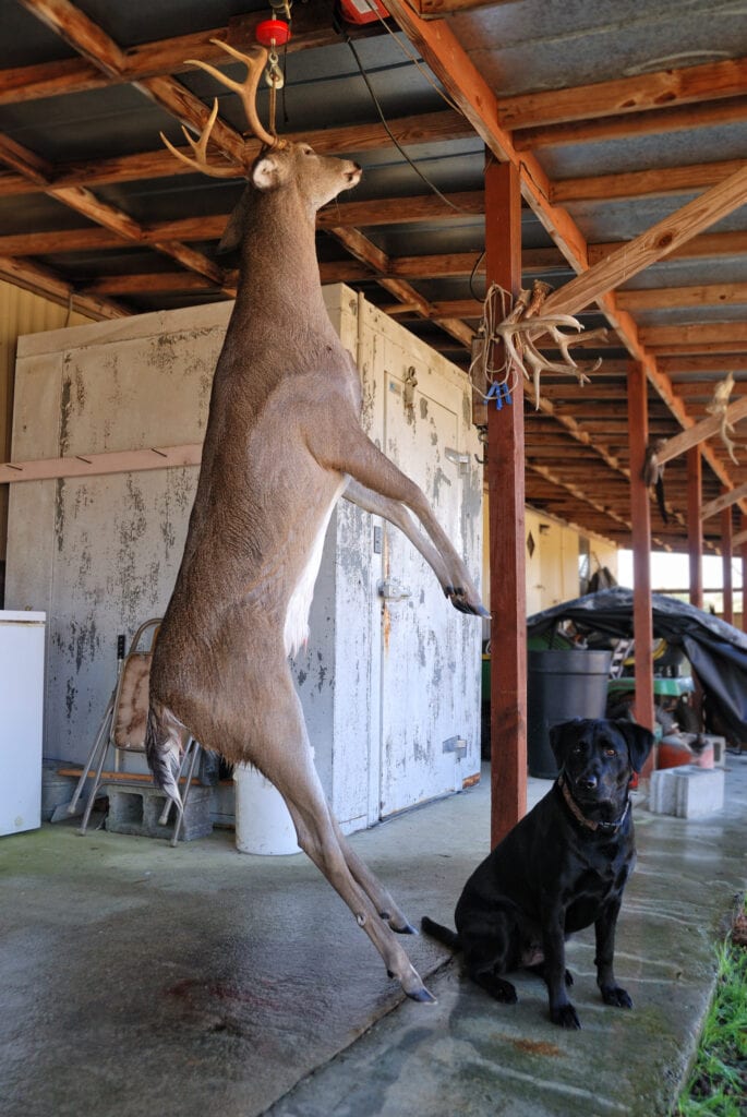 Venison From The Field To The Fire Mossy Oak Gamekeeper