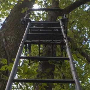 Treestand Safety: Using Common Sense