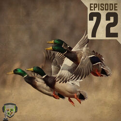 EP:72 | Waterfowl Q&A with Dr. Brian Davis of MSU