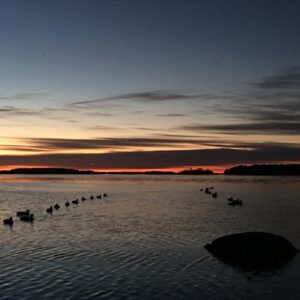 Sea Duck Hunting: Tips for Fulfilling Your Waterfowl Bucket List