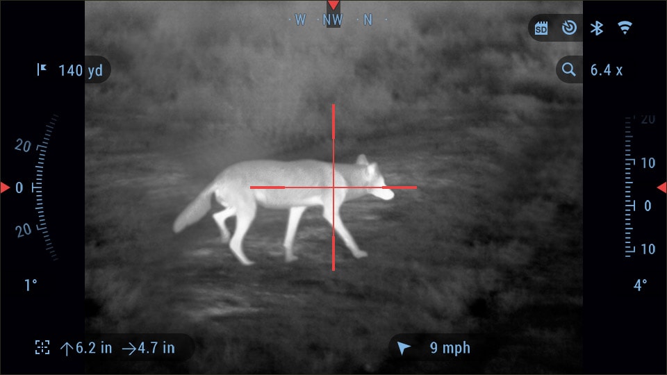Thermal-coyote