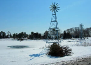 frozen pond in winter