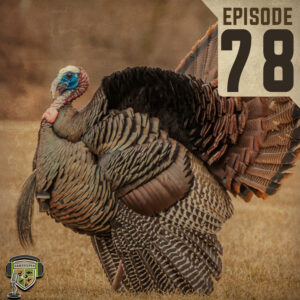 EP:78 | Dr. Chamberlain: What Have You Learned Researching Turkeys That Has Made You a Better Hunter?