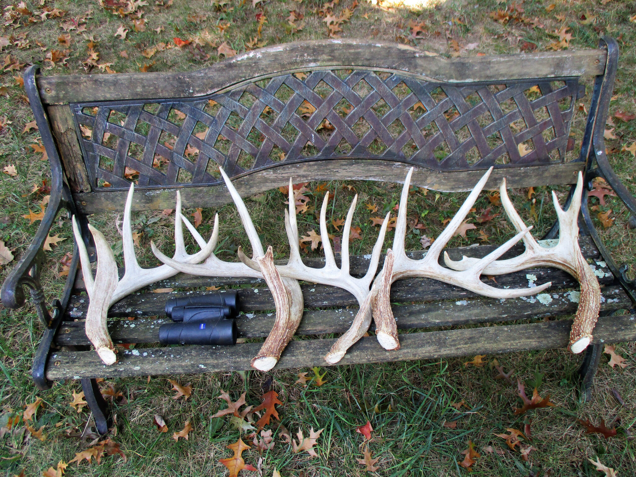 how-to-find-deer-antler-sheds-mossy-oak-gamekeeper