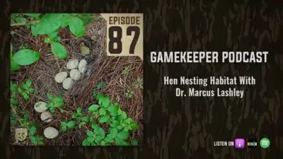 EP:87 | Hen Nesting Habitat with Dr. Marcus Lashley