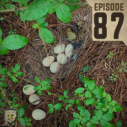 EP:87 | Hen Nesting Habitat with Dr. Marcus Lashley
