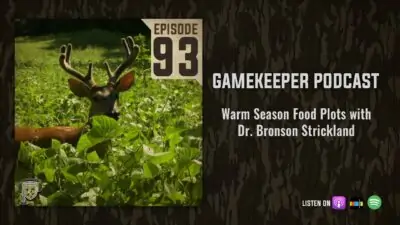 EP:93 | Warm Season Food Plots with Dr. Bronson Strickland