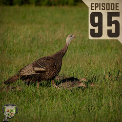 EP:95 | Understanding Brooding and Poults with Dr. Mike Chamberlain