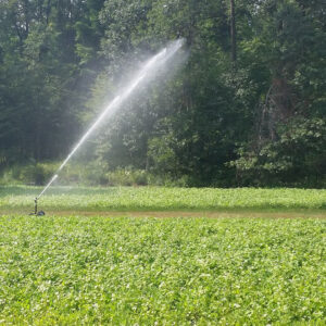food plot watering system