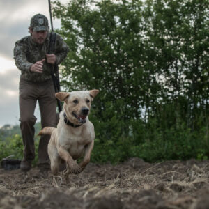 Preventing Heat Stress and Hypothermia in Hunting Dogs