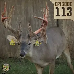 EP:113 | Explaining Fall Changes in a Whitetails World