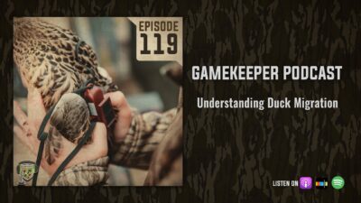 EP:119 | Understanding Duck Migration