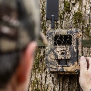 Trail Camera Tips and Tricks
