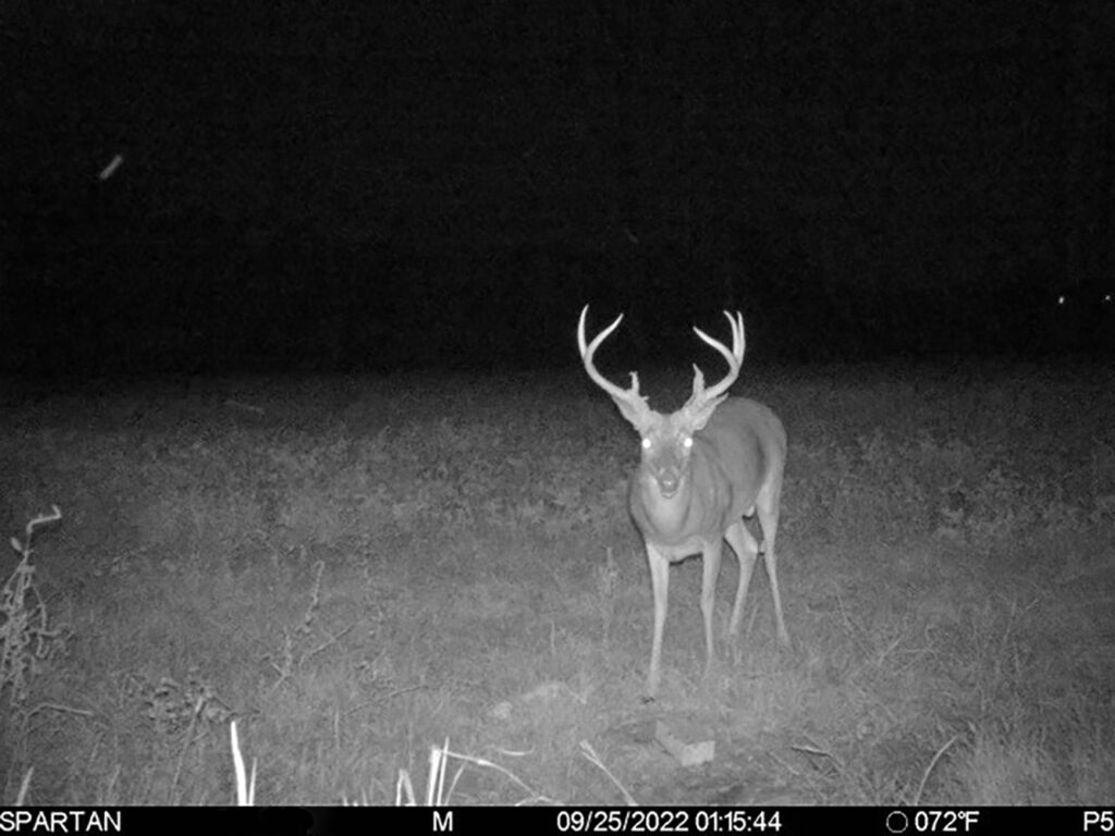 trail-camera-tips and tricks
