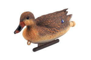 duck-decoy